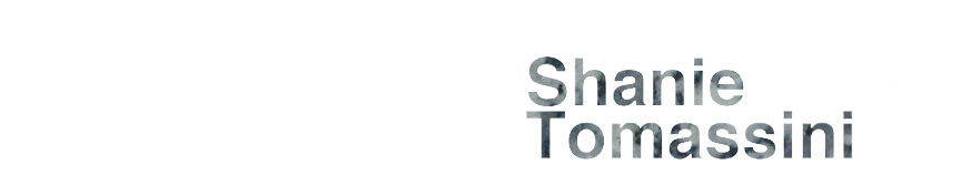 Shanie Tomassini — artwork