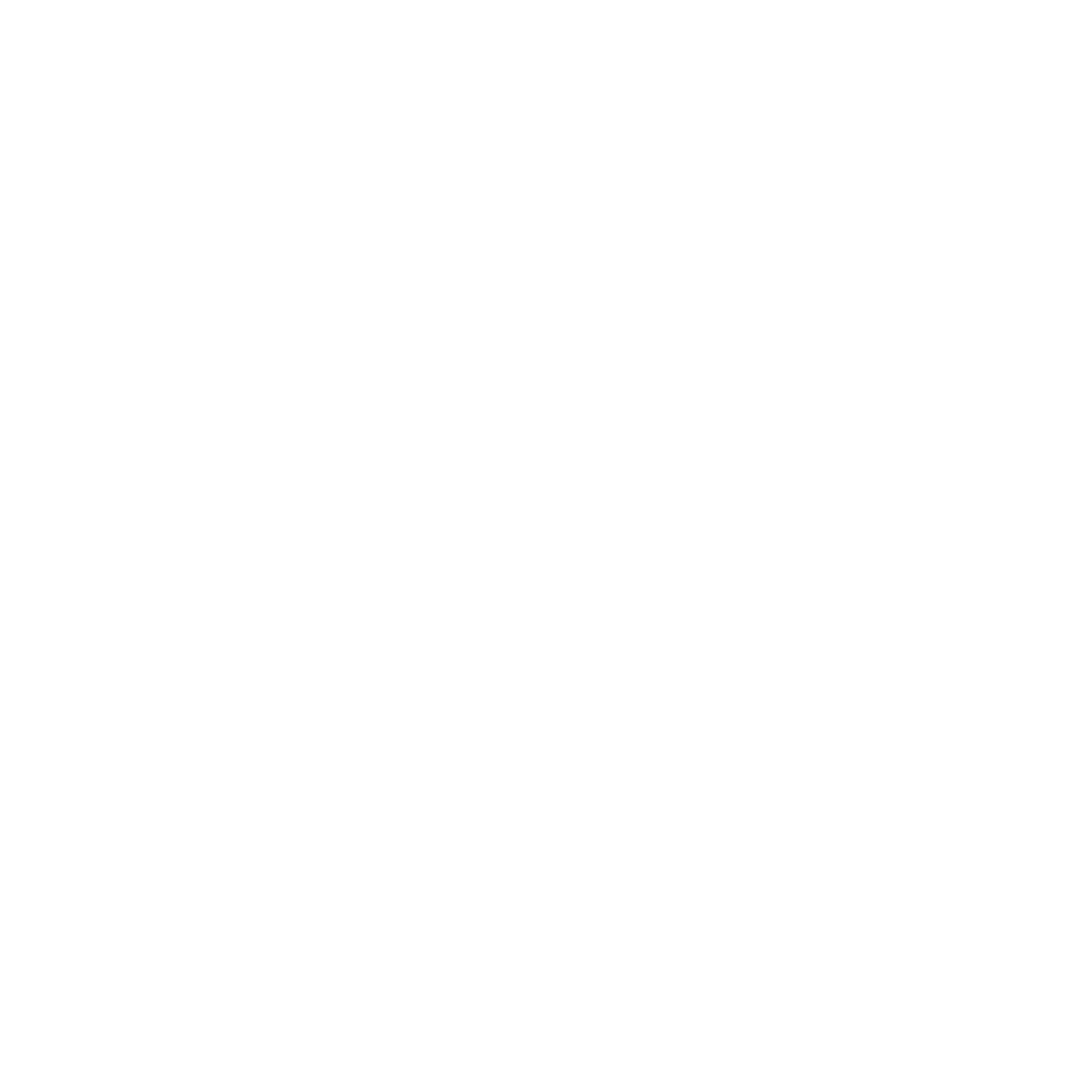 proyecto | N O I R